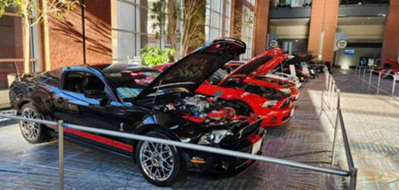 Mustang Club at Richmond show