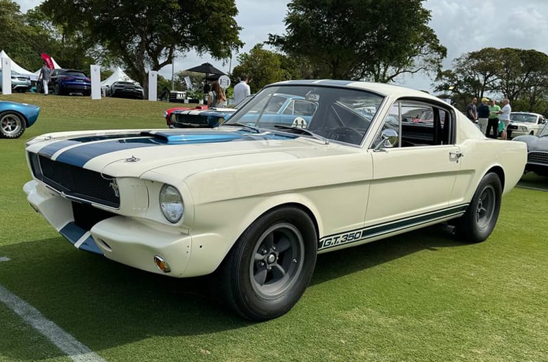 White and blue first gen shelby mustang
