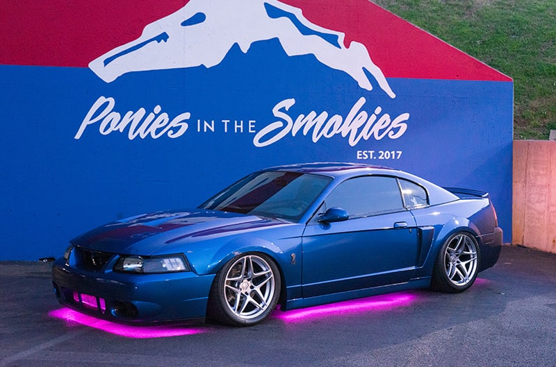 Newedge mustang with ponies in the smokies graphic on wall