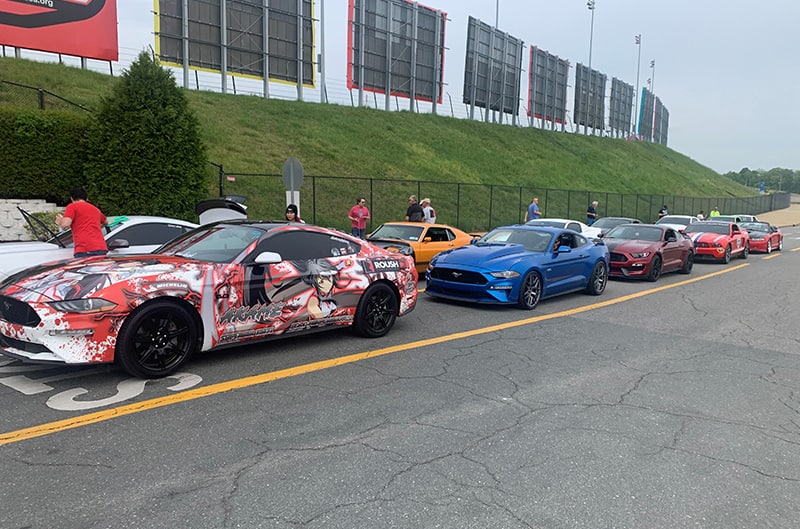 Mustangs lined up around charlotte motor speedway
