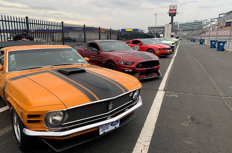 Several mustangs on display at event