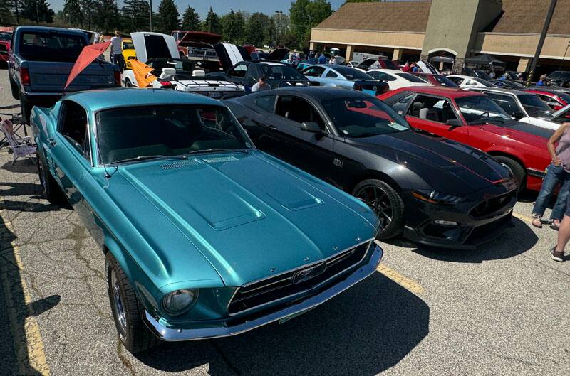teal black and red mustangs in parking lot