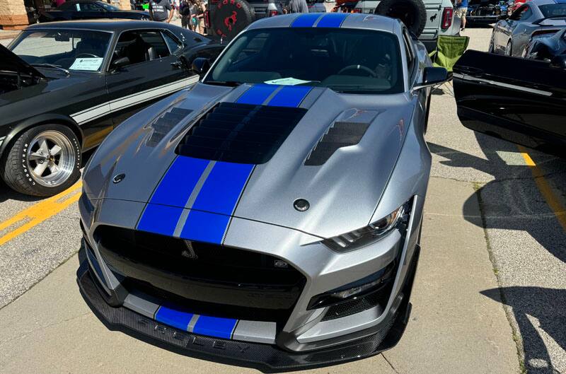 grey mustang with blue stripes