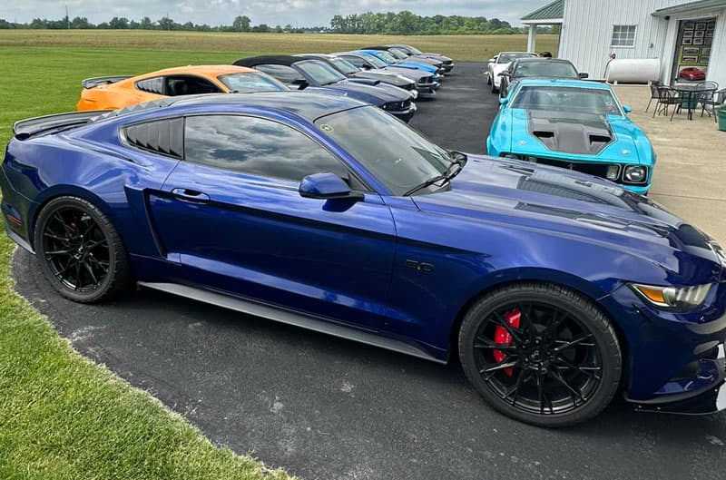 blue mustang with other mustangs in lot