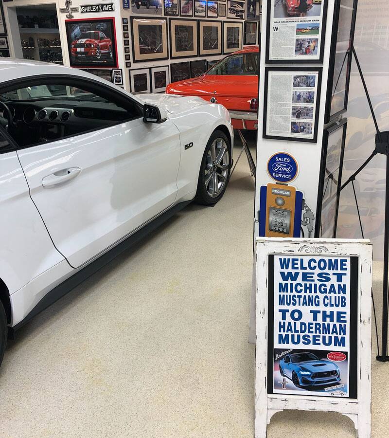 side of white mustang in museum