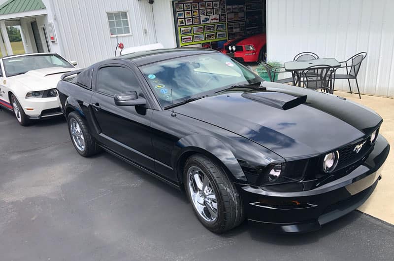 black and white mustangs in a line