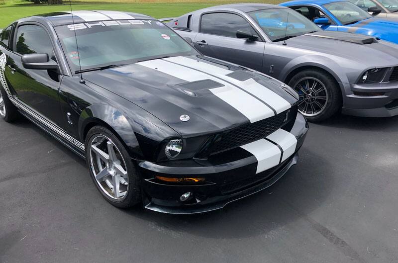 black and grey mustangs in lot