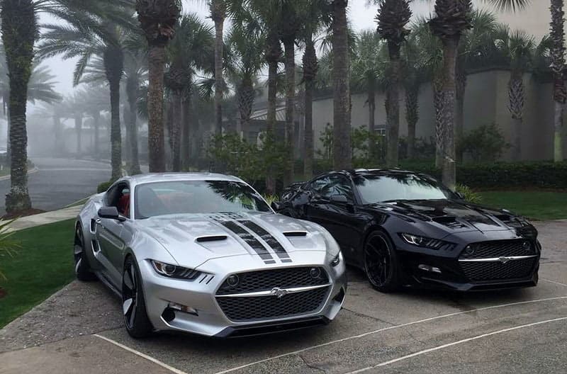 Silver and black Mustang Rockets