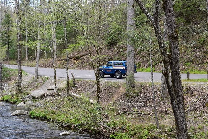 Blue Bronco on forest road