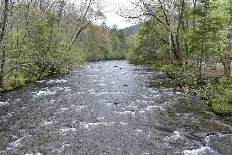 Image of river in forest