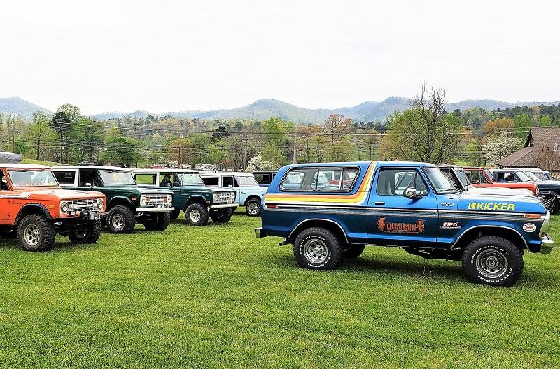 Various Broncos on grass field