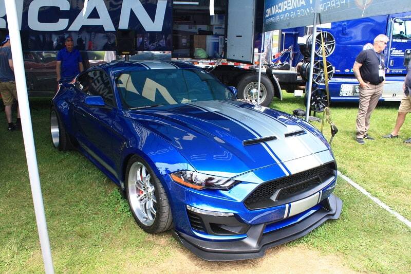 Blue Shelby under the tent