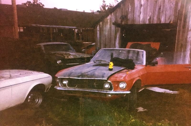 Rusted red Mustang GTR outside of barn with other cars around it