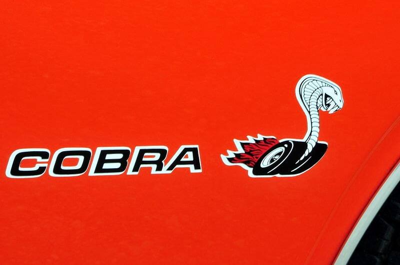 Close up of Cobra logo