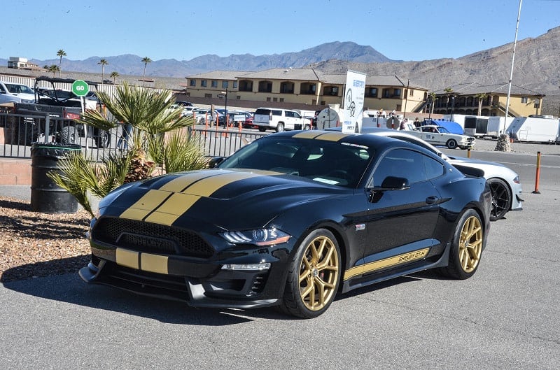 Front profile of black Shelby Mustang with gold stripes in parking lot
