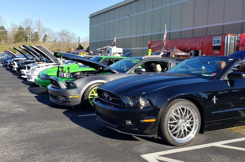 Various Ford Mustangs parked in lot outside