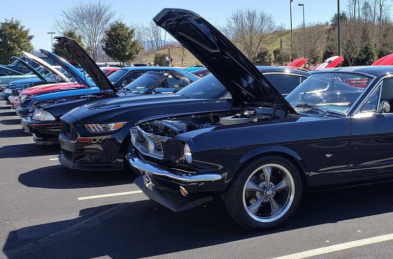 Various Fords parked in a lot outside