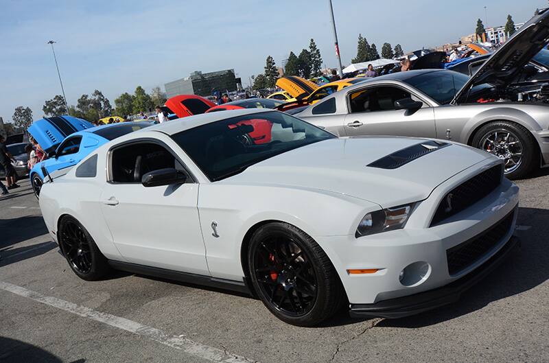 Profile of white Shelby in parking lot full of Fords