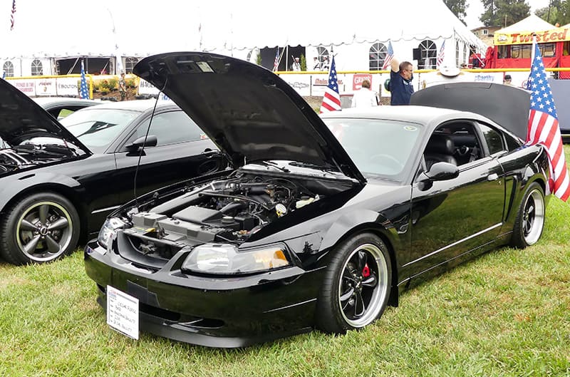 Front profile of black Mustang with hood and trunk open on the grass