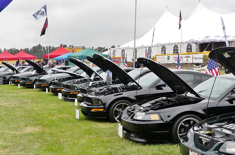 Various black Mustangs with hoods open in line on display on the grass