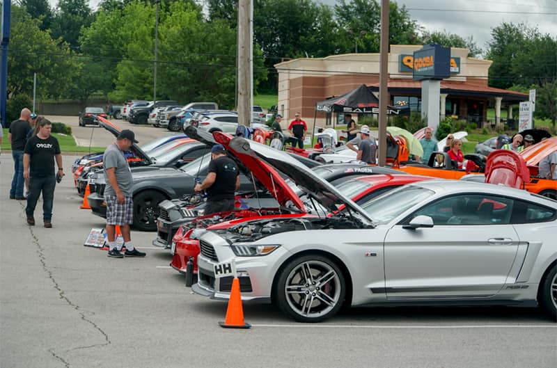 Various Mustangs in a parking lot with hoods open and people observing