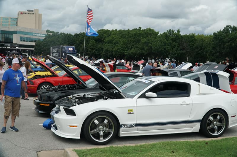 Various Shelby Mustangs in a parking lot with hoods and trunks open and people observing