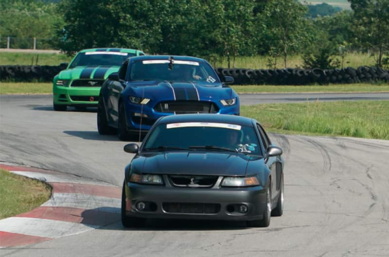 Various Mustangs in a line driving on a track