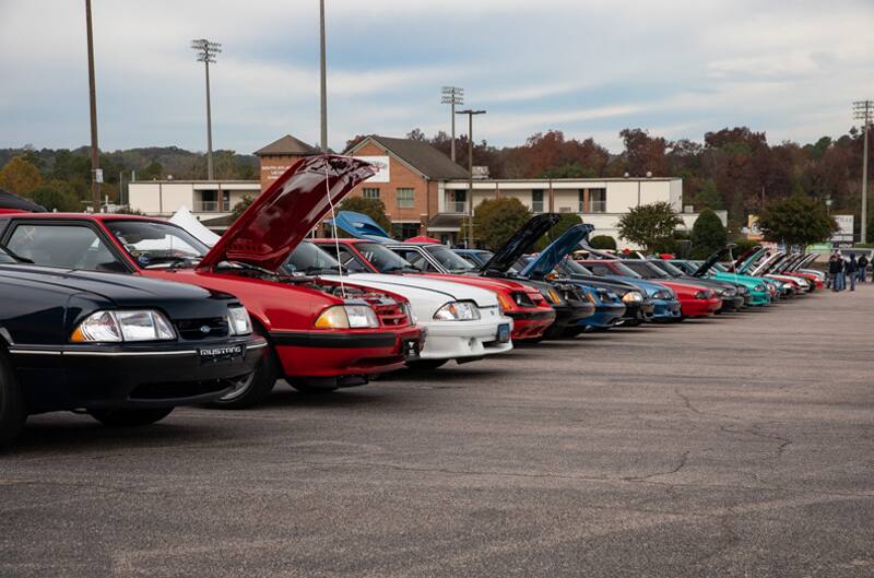 Various Mustangs parked in a line in parking lot