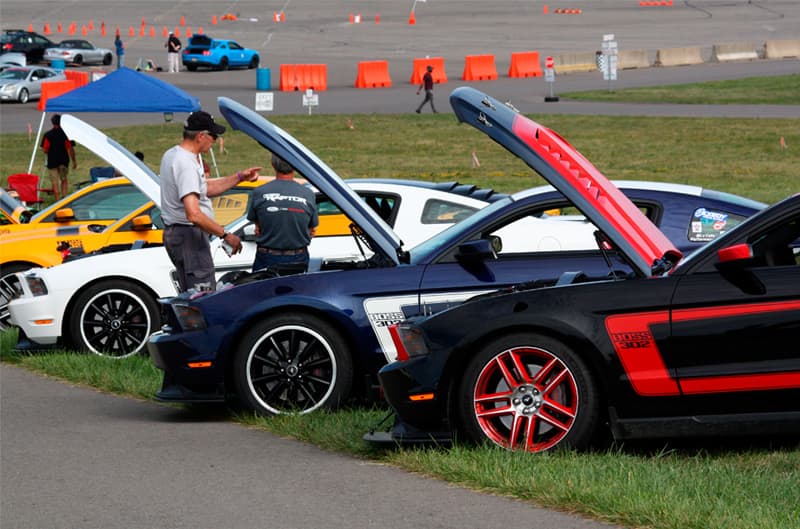 Various front end profiles of Mustang Bosses with hoods up parked on grass