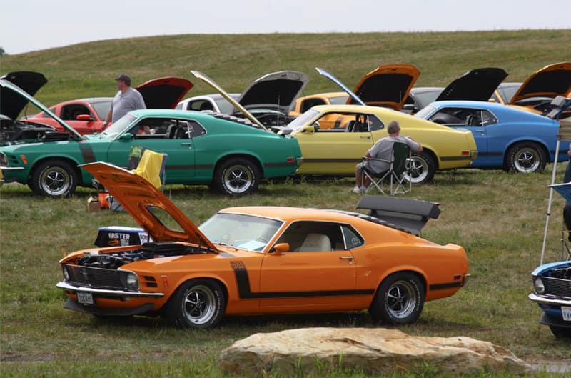 Various Mustang Bosses parked on the grass