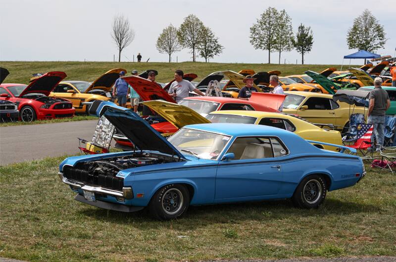 Various Mustang Bosses parked in grass with hoods up