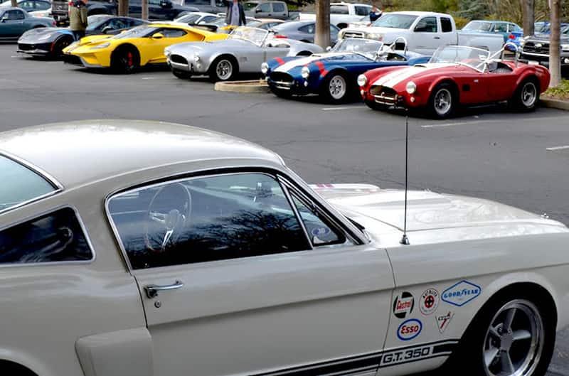 Close up of a profile of white GT 350 in parking lot full of various Shelby Cobras