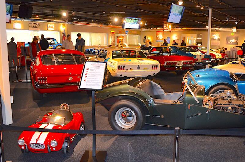 Various Cobras on display in museum