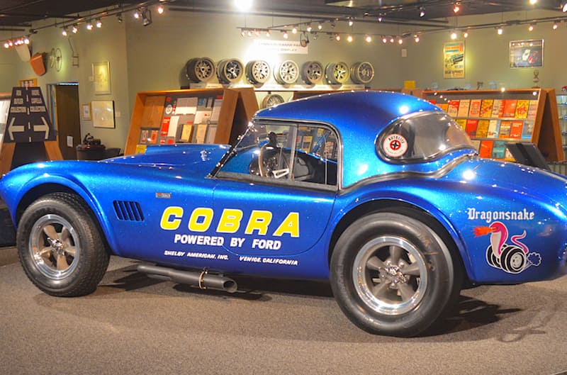 Profile of blue Shelby Cobra on display in museum