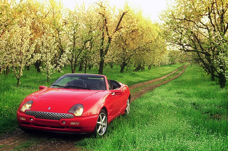 Front of a red Mungusta Qvale droptop in a grass field