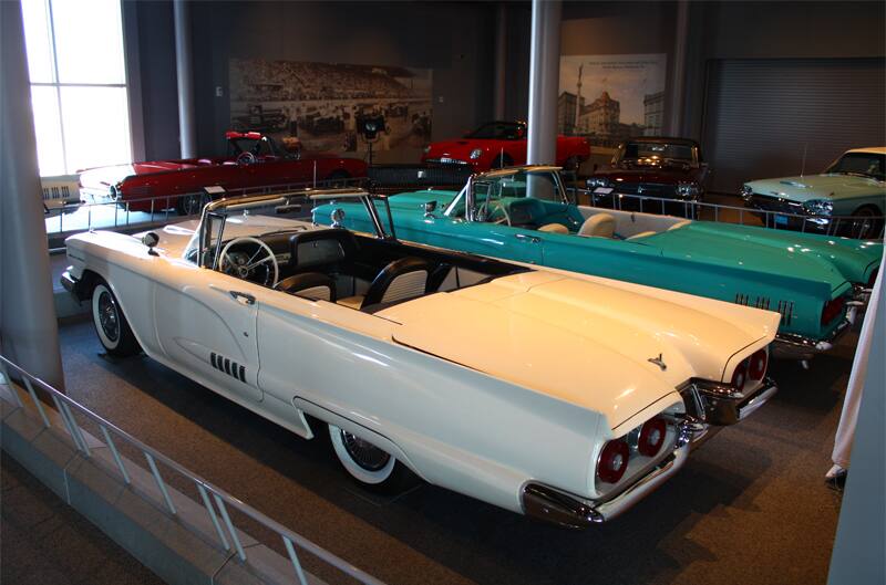 Rears of a teal and a white Thunderbird droptops with roofs down on display