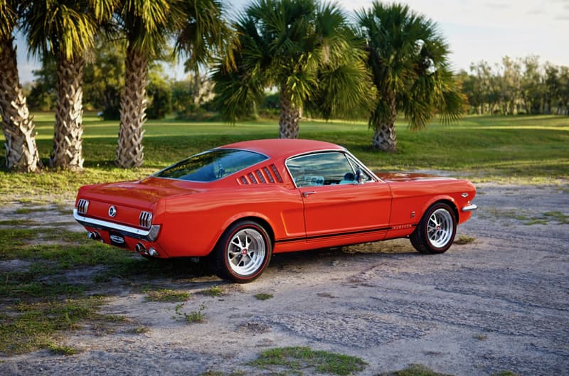 Rear profile of red Mustang parked in front of palm trees