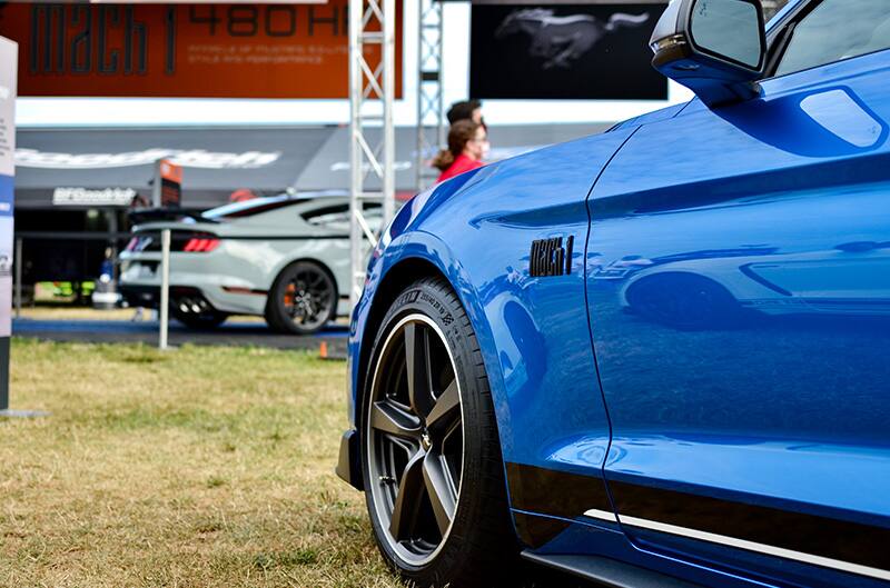 Close up front side of a blue Mach 1 parked on the grass