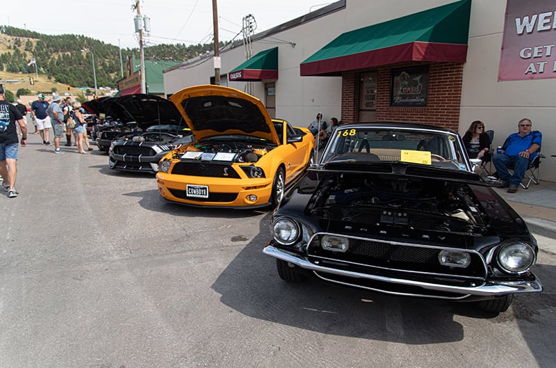 Shelby Mustangs in row at Sturgis Mustang Rally