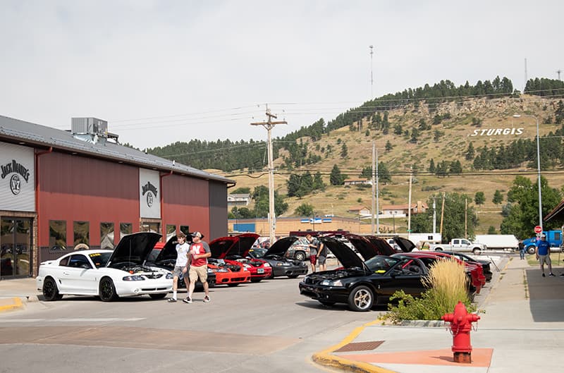 SVT Cobra snake pit with STURGIS letters on mountainside is background
