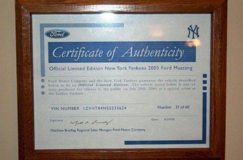 Certificate of Authenticity for yankee mustang