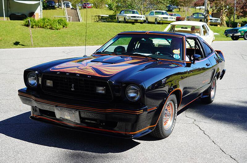 Black King Cobra Mustang