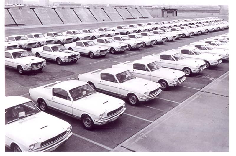 Rows of white GT350s lined up black and white photo