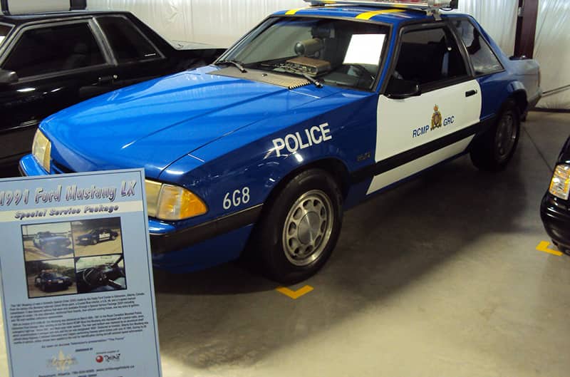 Navy blue and white SSP Mustang