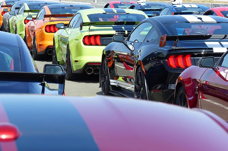 Dozens of GT500s lined up on track ready to race