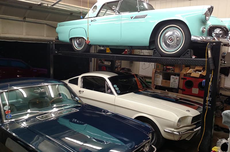 Thunderbird on the lift in the garage with other mustangs