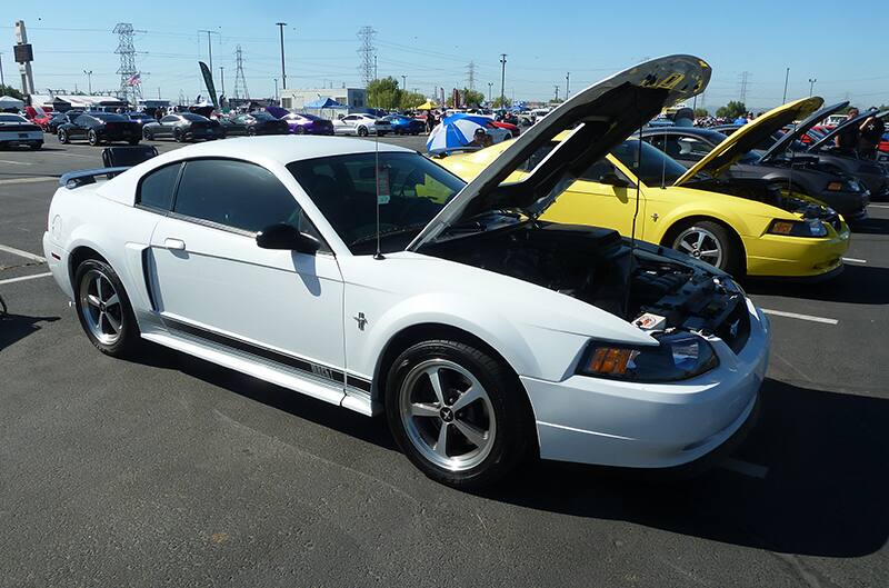 White 2003 Mach 1 mustang