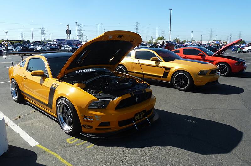 Two S197 boss 302s at show