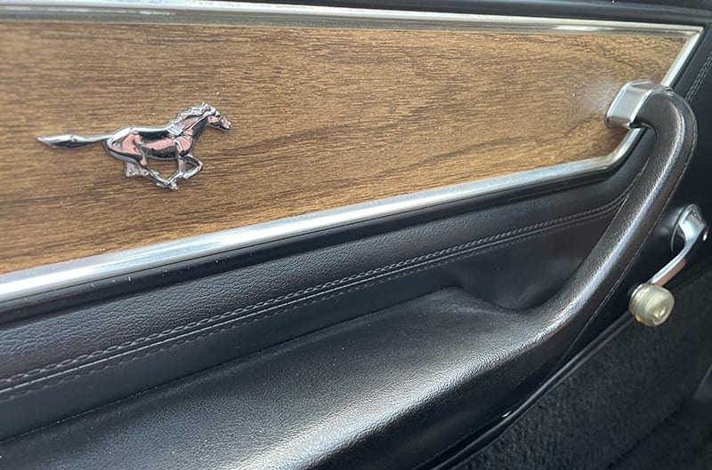 Pony badge on interior door panel