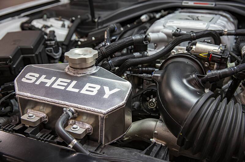 Engine bay close up on coolant tank